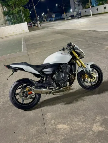 Hornet Branca