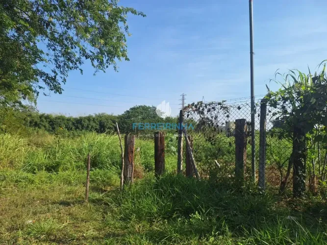 Área, 37267 m² - venda por R$ 22.500.000,00 ou aluguel por R$ 75.000,00/mês - Eugênio de M
