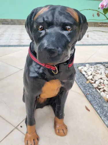 Estatua cachorro
