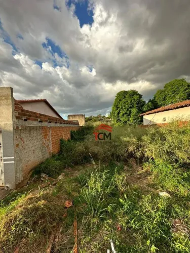 Terreno à venda, 330 m² por R$ 249.000,00 - Residencial Vereda dos Buritis - Goiânia/GO