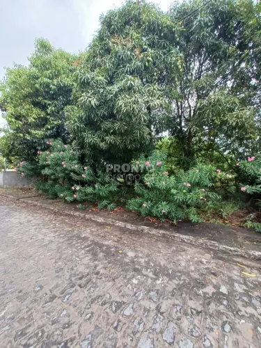 Lote/Terreno/Condomínio em Porto de Galinhas