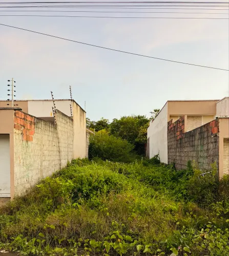 VENDO LOTE NO ANCURI 6x30