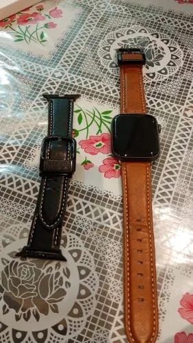 Apple Watch Série 5 44mm