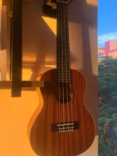 Ukulele - Kalani Concert