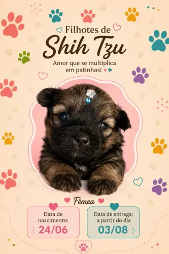 RESERVA ABERTA - FILHOTES DE SHIH TZU ?