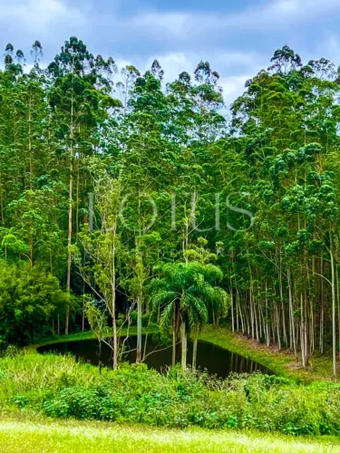 82C-5OOM COTIA, IDEAL PARA RESIDÊNCIA