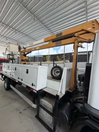 Cesto Aéreo Ano 2019