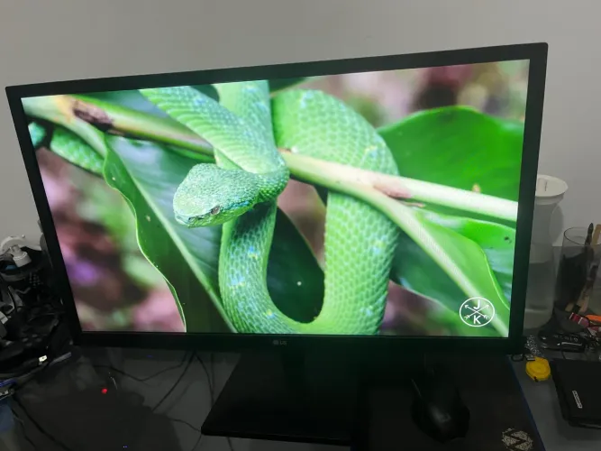 Monitor para PC LG 24" LED IPS