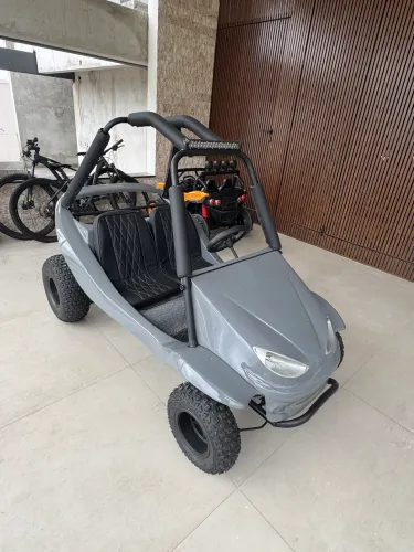 2027 Swell mini buggy