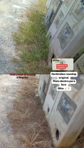 Herbicidas contras àqueles matos indesejado 