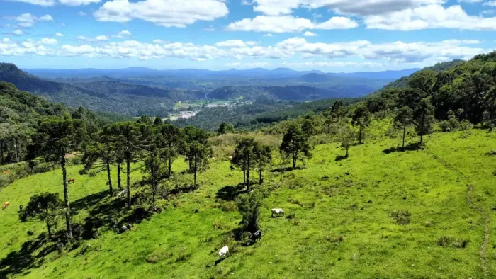 Terreno com 79 hectares frente para a SC 114