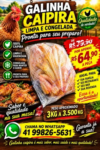 Galinha caipira limpa e congelada