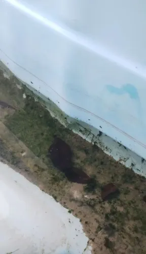 Reformar, pintura e manutenção de piscinas de fibra 