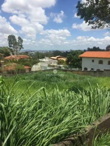 Belvedere - Lote / Terreno para aluguel na Anuar Donato