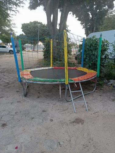 Pula pula