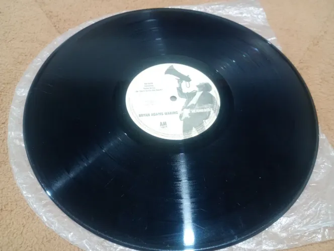 Discos vinil de Rock sem capa