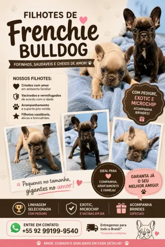 Buldogue francês
