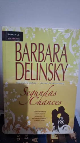 Livro Segundas Chances romance Barbara Delinsky