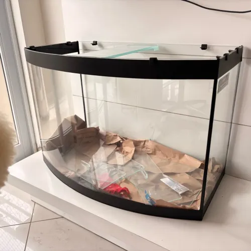 Aquário- terrário 