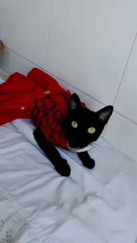 Doação