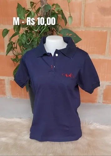 Camisas femininas