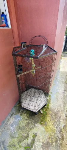 Vendo Gaiola