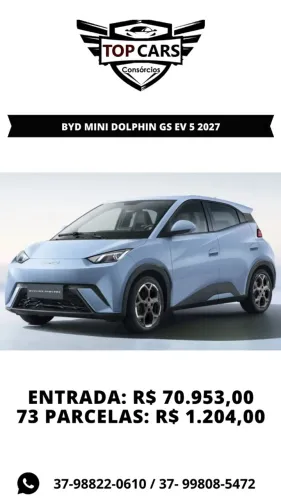 Byd dolphin mini 2027