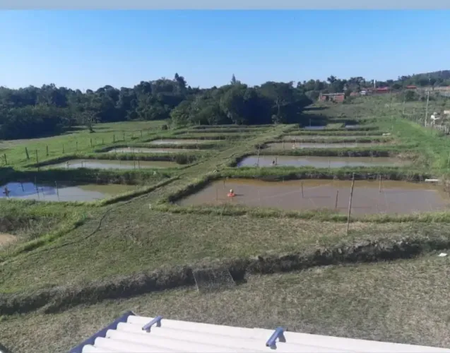 Sitio - Porangaba/sp