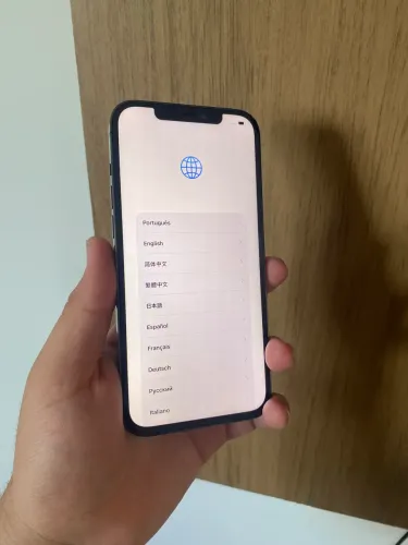 iPhone 12 Pro Max 