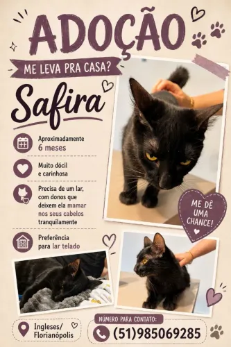 GATA PARA ADOÇÃO 