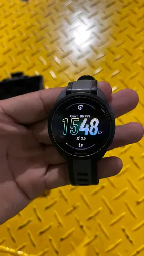 Garmin 165