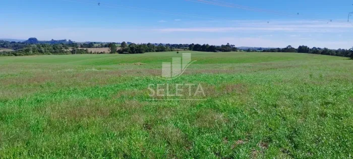 Sítio à venda, AS MARGENS DA PR 170, FAXINAL DO CEU, PINHAO - PR