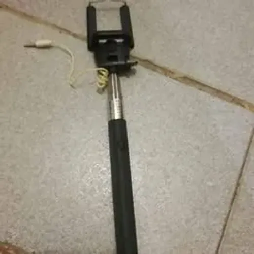 Pau de Selfie