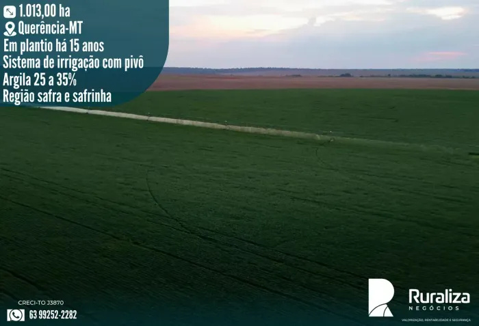 Fazenda com agricultura consolidada, alto potencial produtivo e estrutura para intensifica
