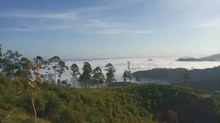 Chácara com 1.600m2.