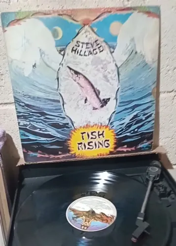 LP Steve Hillage Gong Fish Rising 1975 Raridade/ Leia descricao