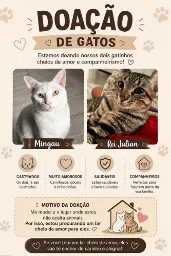 Estou doando dois gatinhos de 1 ano