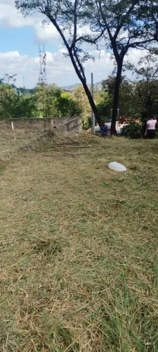 Lote vala das acácias
