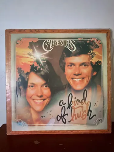 Vinil Carpenters