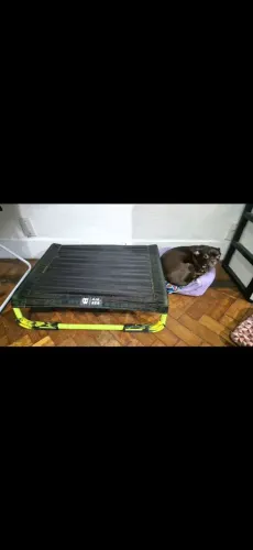 Cama zeedog