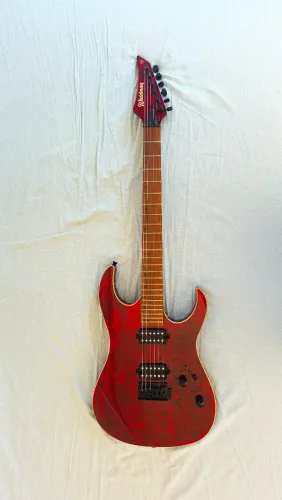 Guitarra Waldman Wigr-220