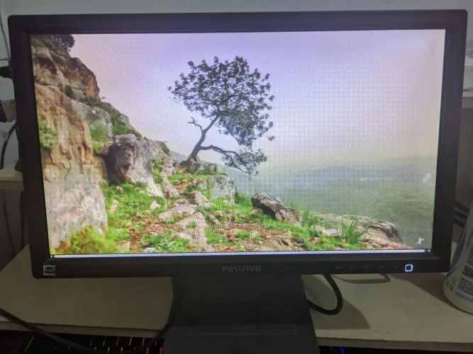 Monitor Positivo