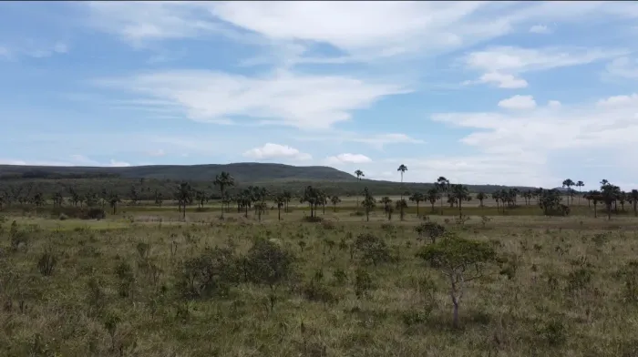 Sítio 4hect apenas 5km de Alto Paraíso