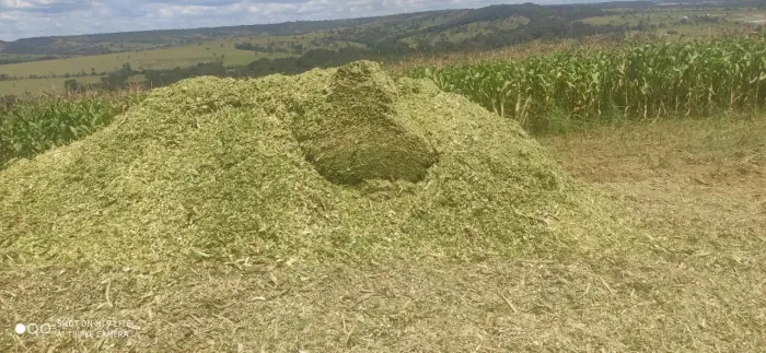 Vendo Fazenda em Corumbá / Goiás