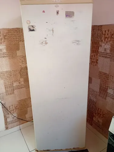 Geladeira e televisão 