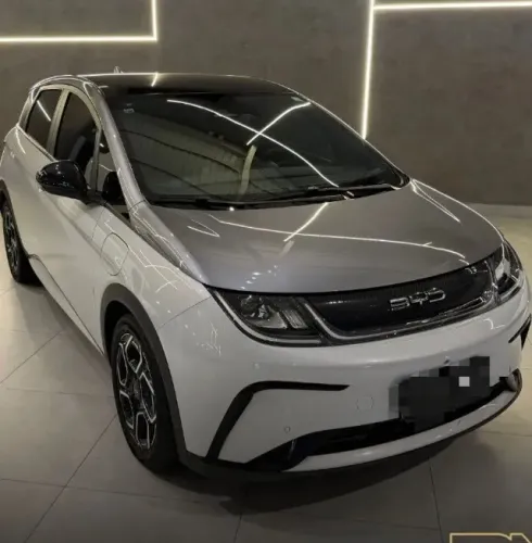BYD Dolphin Plus (Elétrico) 2024