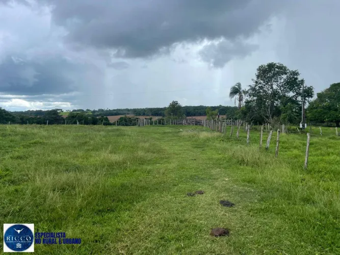 Chácara à Venda em Itaberaí GO | 5,30 Alqueires | Rica em Água