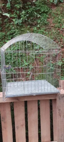 Gaiola