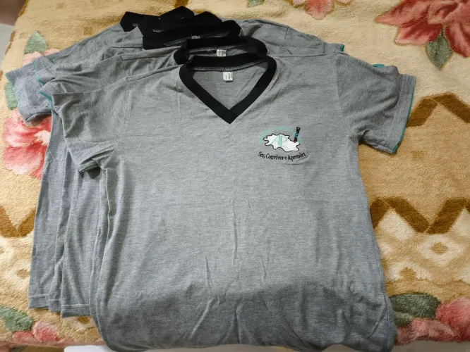Camisa escolar escola estadual Álvaro Laureano Pimentel