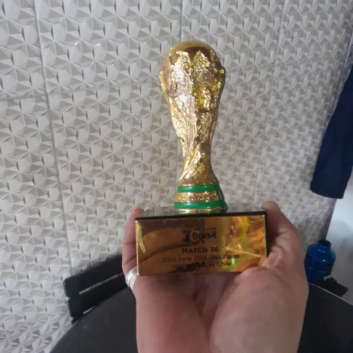 Miniatura da taça copa 2014 